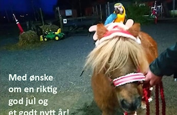 God Jul og Godt Nytt År!