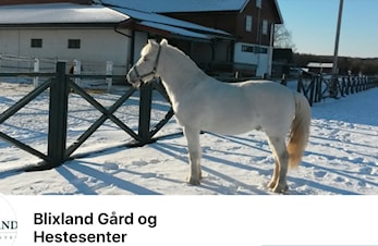 Hold av siste helg i mars!