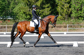 Trening søndag 21. august!