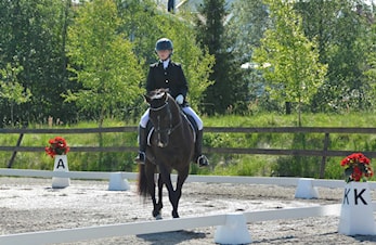 Dressurstevne på Haugstad lørdag 10. juni