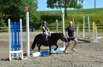 Søndag 11. juni var det sprangstevne på Haugstad