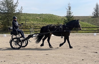 En kjempefin vårsprett!