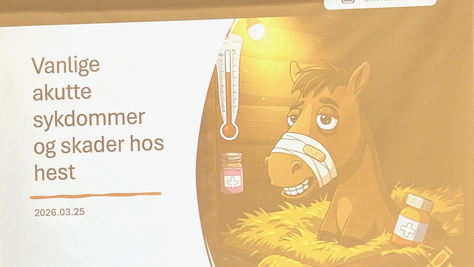 Et veldig lærerikt møte!