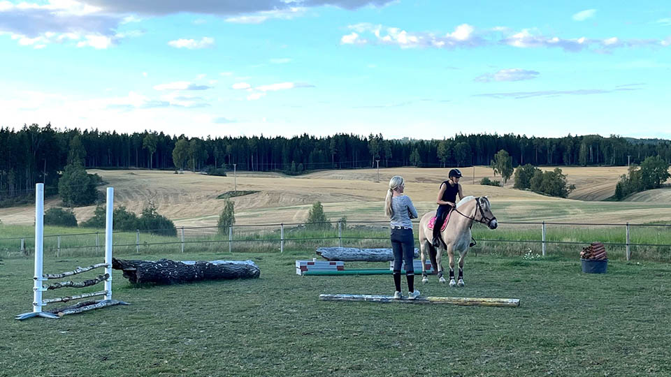 Mye på programmet!