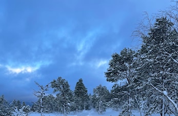 Spleis for å bidra til å opprettholde løypekjøring i vassfjellet i vinter