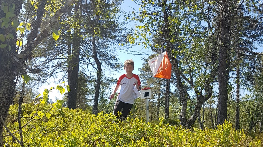Nærløp Vasslia onsdag 19. august - med resultat
