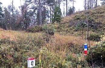 Nattløp 27.10 Blomlia - med resultat