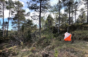 Kompetansehelg Orientering