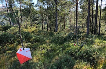Nærløp Langeland 8.9. med resultat