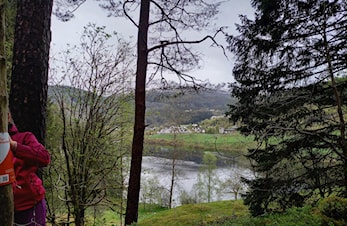 Nærløp, Nordfjord-løp og tur-o
