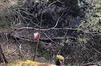 Felles opplegg pinseløp Hamar