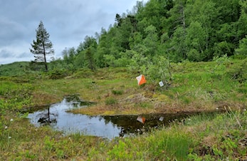Nærløp 29.6 Etterlia