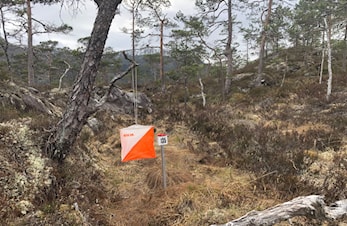 39 på nærløp i Blomlia