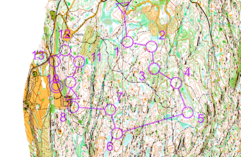 Anja med 15. plass i junior-NM