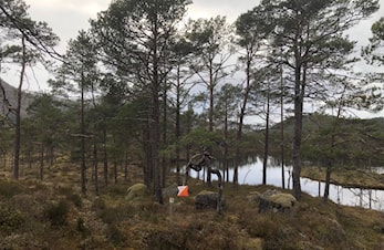 Årsmøte tysdag 14. februar