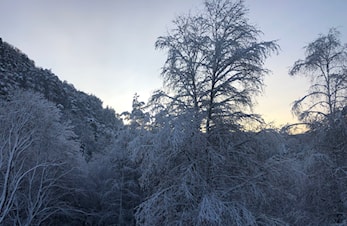 Avlyst o-løp 2. juledag