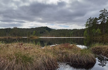 O-løp Sundsdalen 7. juni