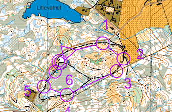 O-løp Sundsdalen 16.8.