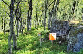 Nærløp og postinntaking