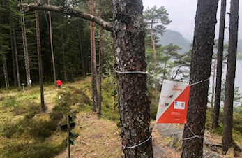 Klarer vi 100 på turorientering?
