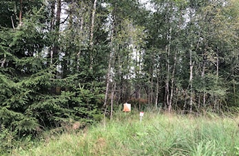Årsmøte måndag 26.2 kl 1800