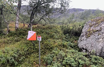 Sunnfjordorienteringa 29.5.