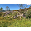 4-dagers Geilo - o-troll