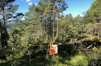 Nærløp Kråkenesmarka
