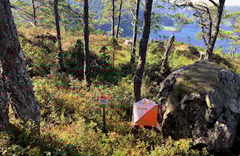 Nærløp Kråkenesmarka 21.8.