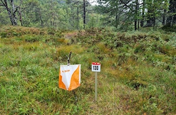 Ny stad for o-løp 28.8.