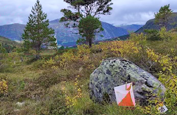 O-løp Gjesdalsdalen 4.9.