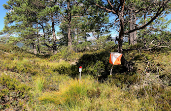 O-løp Værlandet 25.-27. april