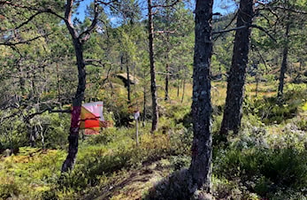 Orientering måndagar på Langeland