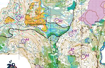 Kurs i kart og kompass