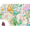 Kurs i kart og kompass