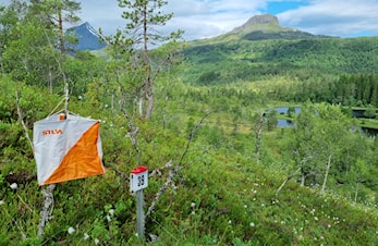 O-løp 25. juni Djupedalen
