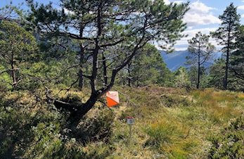 Aktiv veke med trening, nærløp og KM-helg