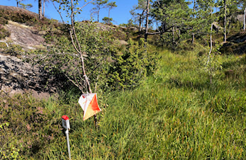 Nærløp Kråkenesmarka 27. august