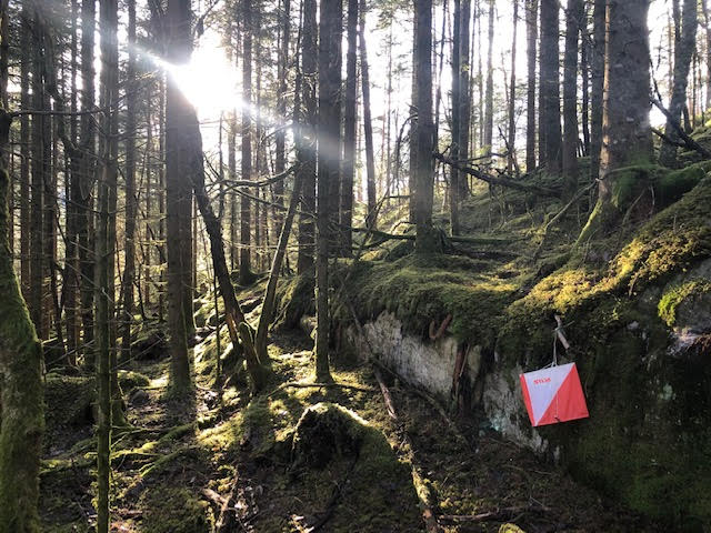 Nærløp Soleide 15. april 