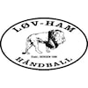 Håndballdag for barn født i 2019