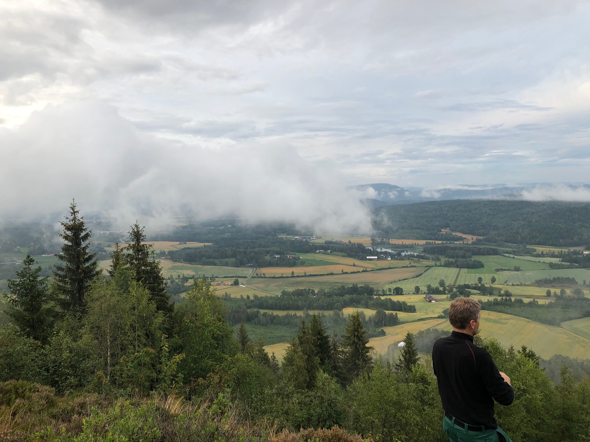 Nyheter sesong 2019-2020
