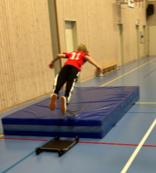Oppstart innetrening hopp