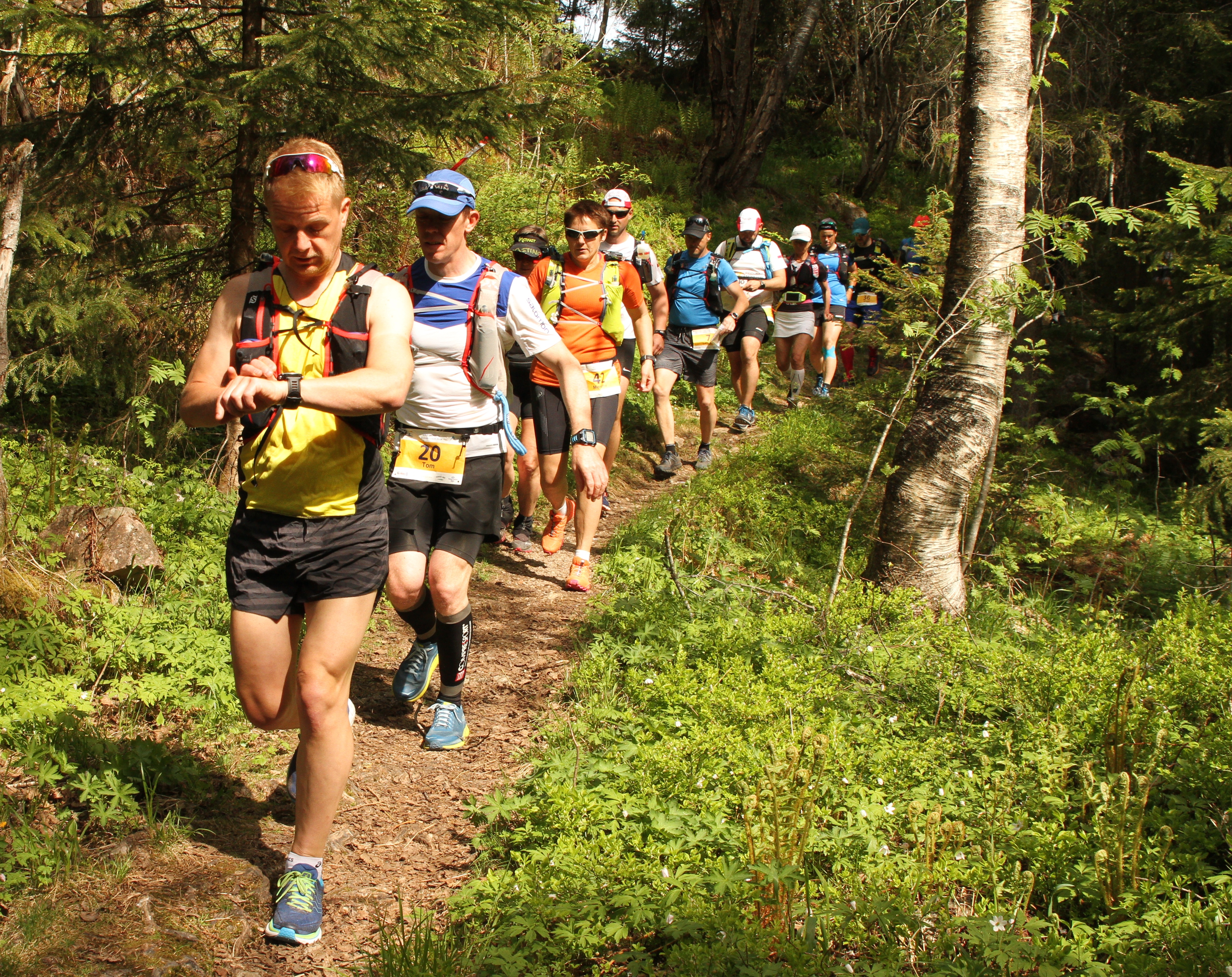 Nytt medlem: Marius Slettingdalen