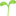 🌱
