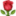 🌹