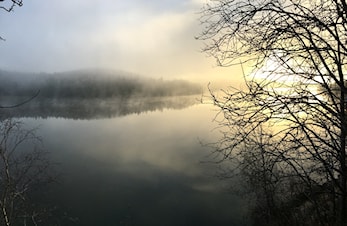 EKSPERIMENTELT PÅ SVARTSKOG