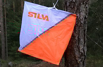 NYE POSTER I SKOGEN