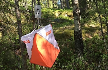Nybegynnerkurs i Orientering