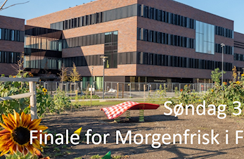 SINNSYK FINALE I MORGENFRISK