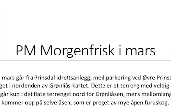 MORGENFRISK #3 ER I GANG